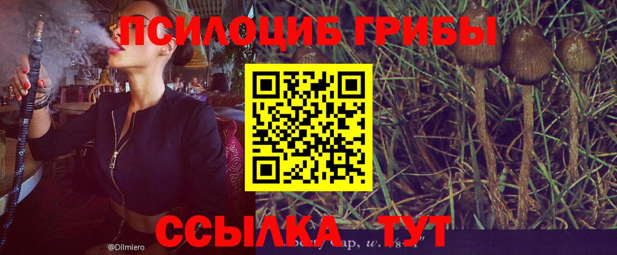 Псилоцибиновые грибы мухоморы Домодедово