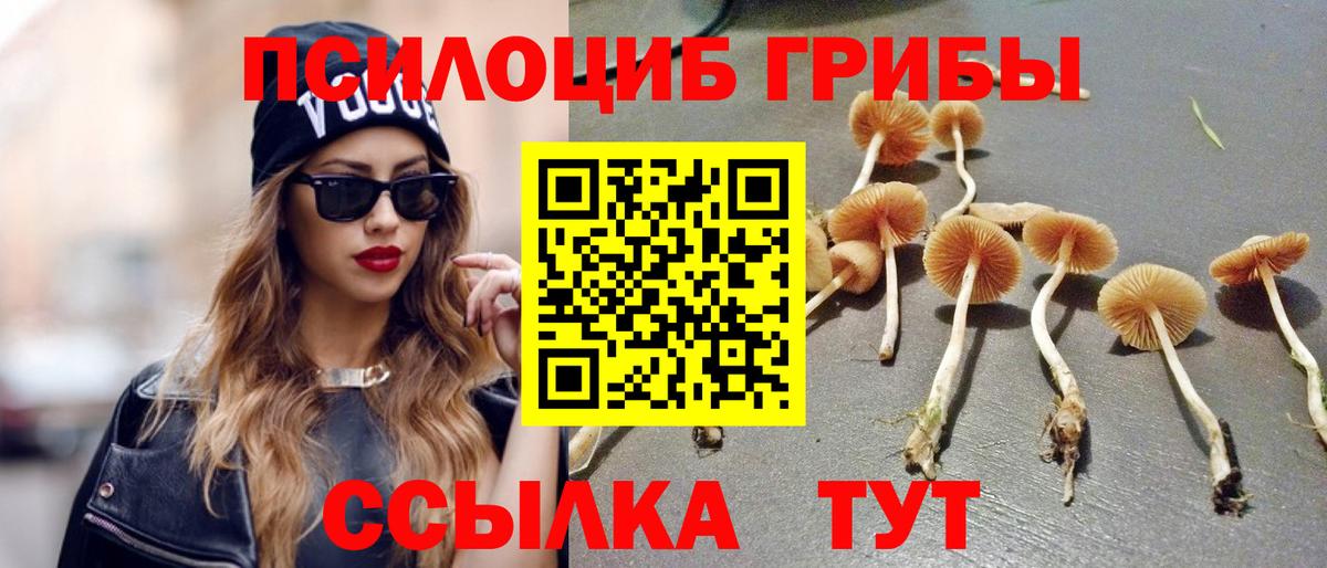 Домодедово  Псилоцибиновые грибы ЛСД  Вход с VPN 